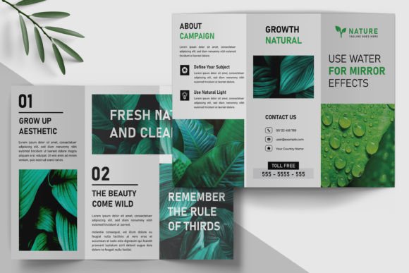 Master the Art of the Tri-Fold: A Designer's Layout Blueprint